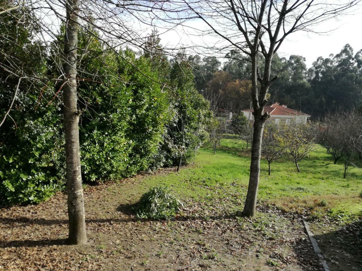 הוילה Figueiro Casa Da Costeira מראה חיצוני תמונה