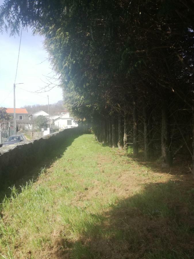 הוילה Figueiro Casa Da Costeira מראה חיצוני תמונה